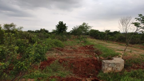 6 east city, sector 5, block L (1)